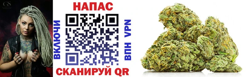 Магазины продажи наркотиков Кувшиново Псилоцибиновые грибы  Канабис  Cocaine  APVP 