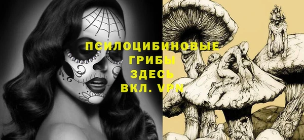 спиды Заволжск